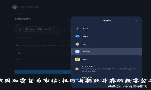 探索俄国加密货币市场：机遇与挑战并存的数字金融土壤