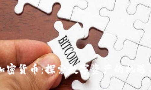 横琴加密货币：探索数字资产的机遇与挑战