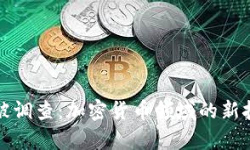 tpWallet被调查：加密货币领域的新挑战与机遇