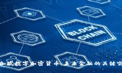新加坡数字加密货币：未来金融的关键突破
