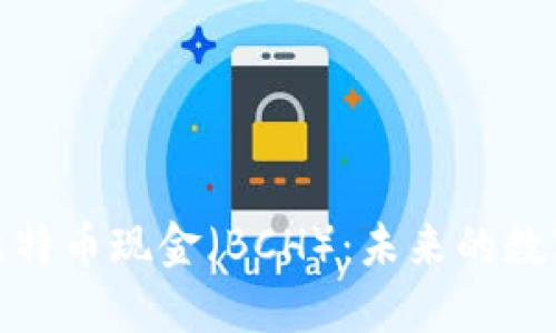 深入了解比特币现金（BCH）：未来的数字货币之选