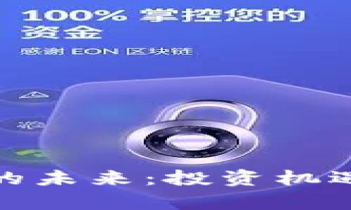 : 加密货币的未来:投资机遇与挑战分析