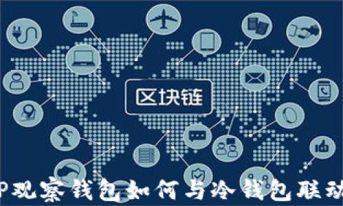 TP观察钱包如何与冷钱包联动?