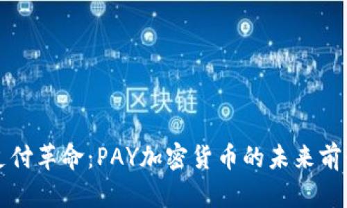 支付革命：PAY加密货币的未来前景