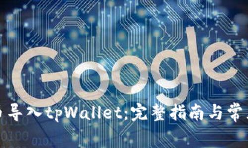 如何将货币导入tpWallet:完整指南与常见问题解答