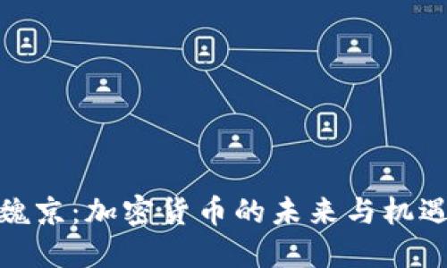 魏京:加密货币的未来与机遇