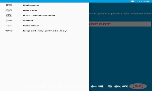 论加密货币的未来:机遇与挑战