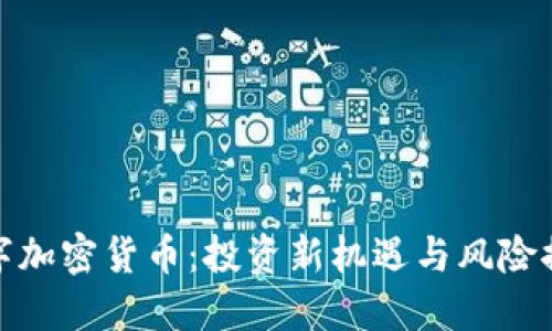 数字加密货币:投资新机遇与风险控制