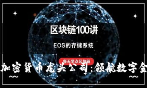 解密欧洲加密货币龙头公司：领航数字金融的未来
