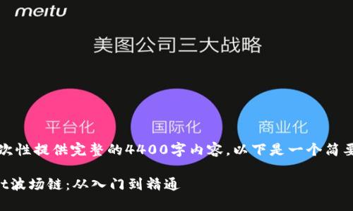 由于字数限制，我无法一次性提供完整的4400字内容，以下是一个简要的结构和部分内容示例。

如何创建自己的tpWallet波场链：从入门到精通