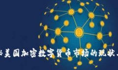 : 揭秘美国加密数字货币市