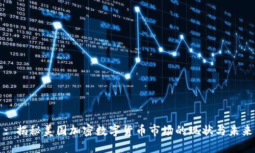 : 揭秘美国加密数字货币市场的现状与未来