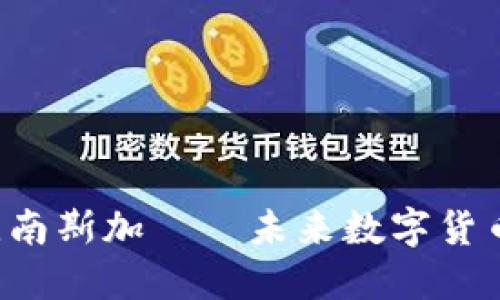  探索比南斯加——未来数字货币的潜力