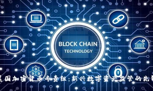 美国加密货币专责组：新兴数字资产监管的先锋
