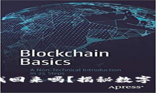 tpWallet被盗后能找回来吗？揭秘数字钱包安全与恢复方法