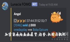 加密货币的未来展望：趋