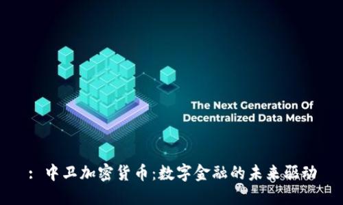 : 中卫加密货币：数字金融的未来驱动