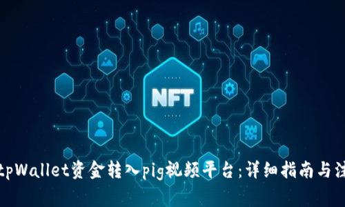 如何将tpWallet资金转入pig视频平台：详细指南与注意事项