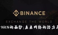  揭开NKN的面纱：未来网络