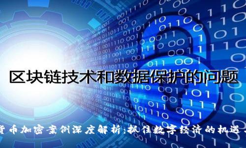 虚拟货币加密案例深度解析：抓住数字经济的机遇与挑战