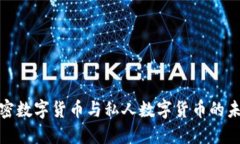 揭秘加密数字货币与私人