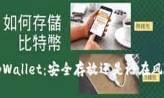  tpWallet：安全存放还是潜